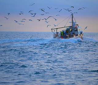 discover how the blue economy contributes to ocean sustainability, by supporting responsible and innovative practices that preserve maritime resources while promoting economic growth. commit to a sustainable maritime future.