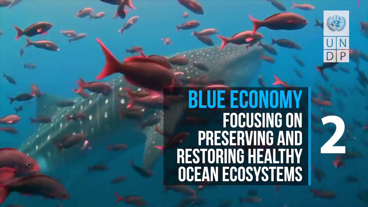 learn how the resilient ocean economy promotes the sustainability of maritime resources while supporting coastal communities. Explore innovative strategies to preserve the environment while driving economic growth.