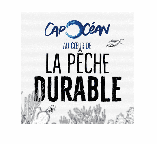 discover responsible fishing practices to preserve our marine ecosystems while enjoying the joys of fishing. commit to a sustainable future!