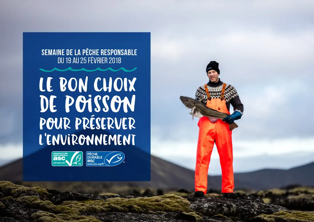 discover the importance of responsible fishing to preserve our marine ecosystems. learn sustainable techniques, regulations and initiatives that promote ethical fishing, while ensuring food security and biodiversity.