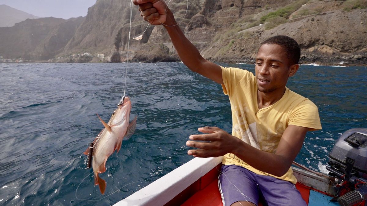 discover the importance of sustainable fisheries for the preservation of our oceans. learn how responsible management of marine resources contributes to biodiversity and the health of ocean ecosystems.