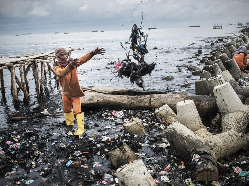 découvrez l'importance de la préservation des océans et comment nos actions peuvent protéger ces écosystèmes vitaux. rejoignez la lutte pour la conservation des ressources maritimes et la sauvegarde de la biodiversité marine.