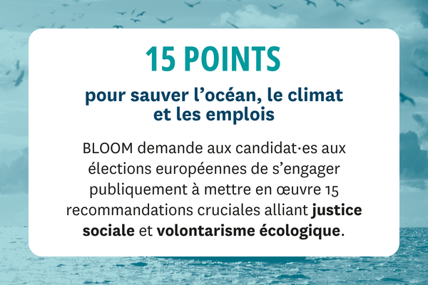 discover effective strategies to save our oceans from pollution. learn how everyone can contribute to the preservation of marine biodiversity and the health of marine ecosystems.