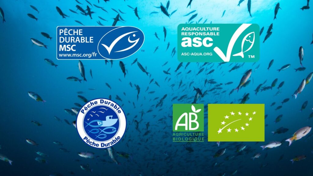 découvrez l'importance de la pêche responsable pour préserver nos océans. apprenez des pratiques durables qui protègent la biodiversité marine tout en soutenant les communautés de pêcheurs. engagez-vous pour un avenir maritime sain et équilibré.