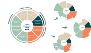 découvrez comment l'économie bleue façonne l'avenir maritime en promouvant des pratiques durables, innovantes et respectueuses de l'environnement. explorez les opportunités de développement dans les secteurs liés à l'océan, tout en préservant la biodiversité marine.