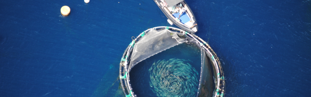 découvrez l'univers fascinant de l'aquaculture et son impact sur les océans. explorez les pratiques durables, les défis environnementaux et les innovations qui façonnent l'avenir de la pêche et de l'élevage marin.