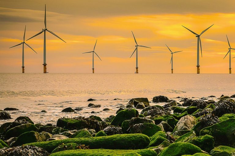 discover marine renewable energies, a sustainable solution for the energy future of our planet. explore the different technologies and innovations that harness the power of the oceans to produce clean electricity and reduce our carbon footprint.