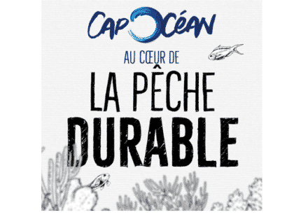 découvrez l'importance de la pêche responsable pour la préservation des océans. apprenez des pratiques durables et respectueuses de l'environnement qui garantissent la santé des écosystèmes marins tout en soutenant les communautés de pêcheurs.