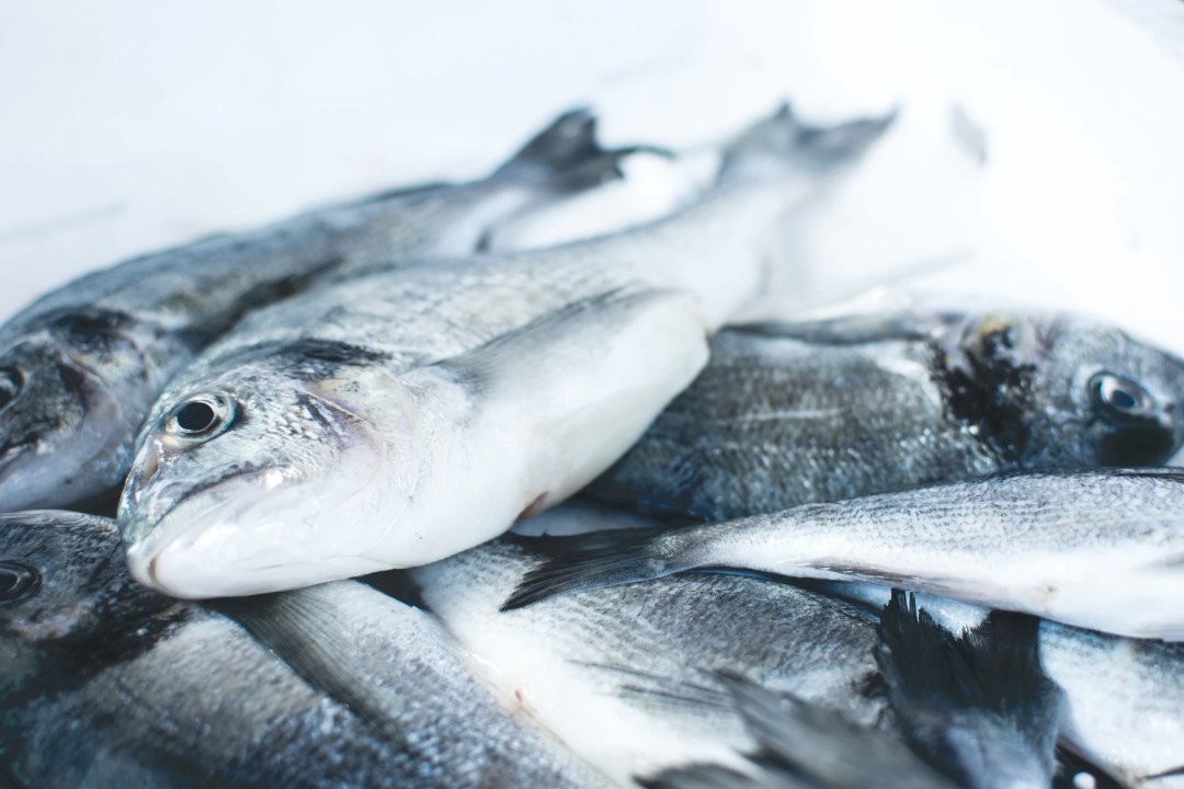 find out if choosing farmed fish represents a sustainable solution for the environment or simply a fleeting trend. explore the advantages, disadvantages and alternatives for responsible consumption.