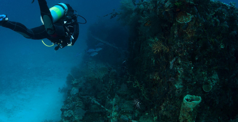 discover the unexplored mysteries of the sea depths with 'ocean secrets'. immerse yourself in a fascinating journey to meet extraordinary creatures and unique ecosystems that reveal the beauty and fragility of our oceans.