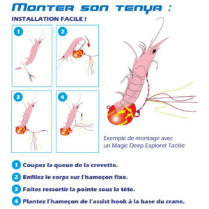 découvrez la méthode de pêche buya, une technique traditionnelle alliant habileté et respect de l'environnement. apprenez les secrets de cette pratique ancestrale, idéale pour les passionnés de pêche souhaitant enrichir leur expérience tout en préservant les écosystèmes aquatiques.