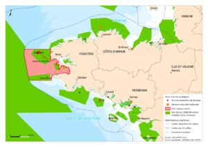 découvrez le réseau aires marines des açores, un écosystème exceptionnel préservé au cœur de l'atlantique. explorez la biodiversité unique de cet archipel et les initiatives de conservation en place pour protéger ses paysages marins. plongez dans ces eaux cristallines et vivez une expérience inoubliable au contact de la nature.