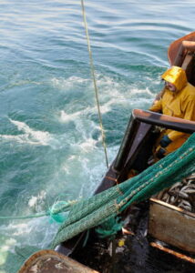 découvrez l'importance de la pêche durable pour préserver nos océans. apprenez comment des pratiques respectueuses de l'environnement contribuent à la santé des écosystèmes marins et garantissent un avenir durable pour les ressources halieutiques.