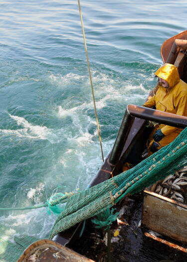 découvrez l'importance de la pêche durable pour préserver nos océans. apprenez comment des pratiques respectueuses de l'environnement contribuent à la santé des écosystèmes marins et garantissent un avenir durable pour les ressources halieutiques.