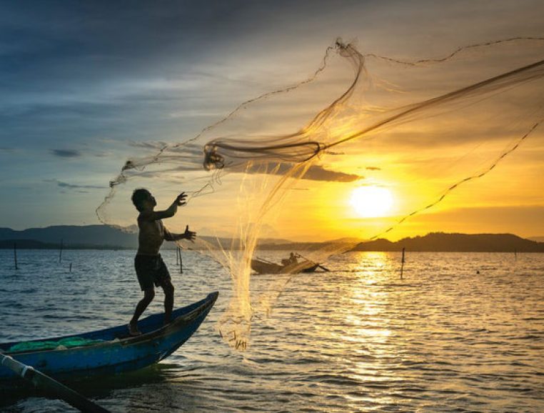 découvrez l'importance de la pêche durable pour la préservation de nos océans. apprenez comment des pratiques responsables contribuent à la protection de la biodiversité marine tout en soutenant les communautés de pêcheurs.