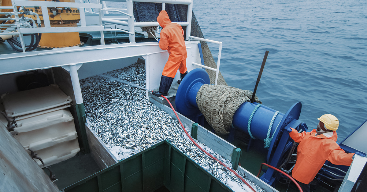 discover the issues and aquaculture regulations linked to the preservation of the oceans. Find out about good practices, current laws and initiatives for sustainable aquaculture.