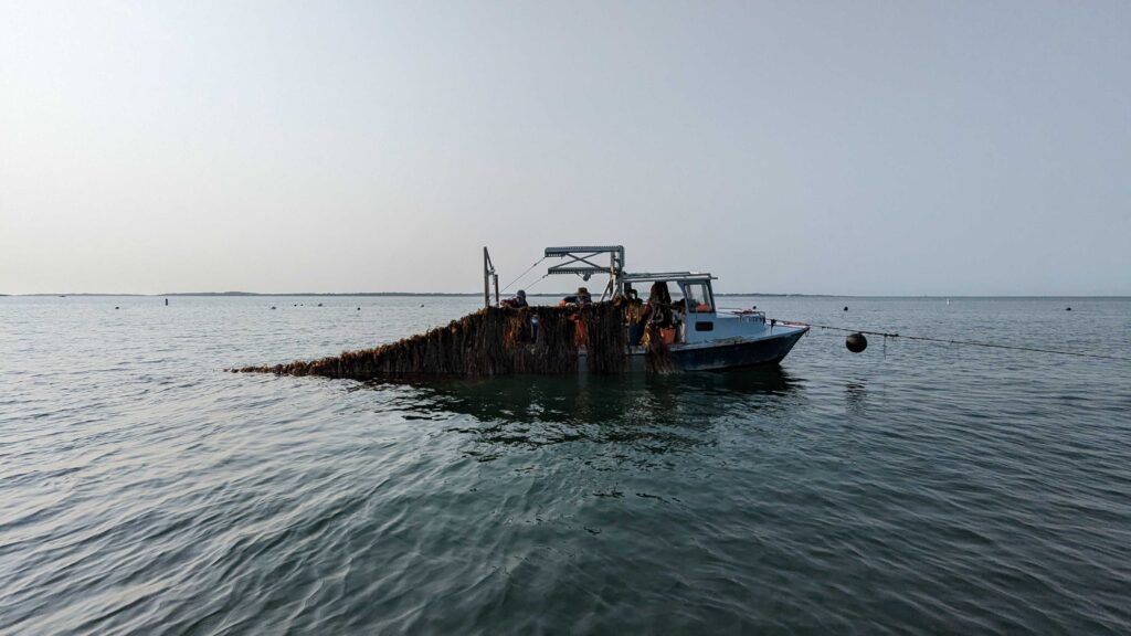 découvrez l'aquaculture régénérative en nouvelle-galles du sud (nsw) : une approche durable qui préserve les écosystèmes marins tout en favorisant la biodiversité et la production alimentaire. explorez les initiatives innovantes et les pratiques écoresponsables pour un avenir aquatique sain.