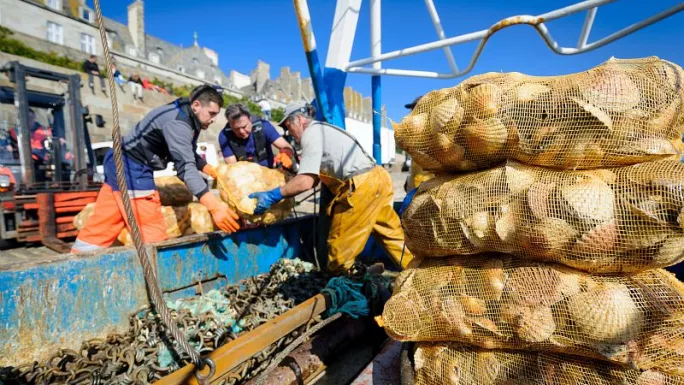 découvrez notre initiative de pêche durable, dédiée à la préservation des écosystèmes marins et à la promotion de pratiques responsables. rejoignez-nous pour un avenir où la pêche respecte la biodiversité et soutient les communautés locales.