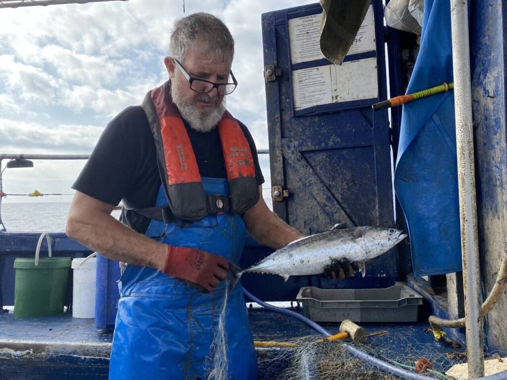 découvrez l'univers de la pêche en freelance d'omar, un passionné qui partage ses astuces, ses techniques et ses expériences de pêche pour vous aider à optimiser vos sorties. rejoignez une communauté de pêcheurs et explorez des destinations de pêche uniques.