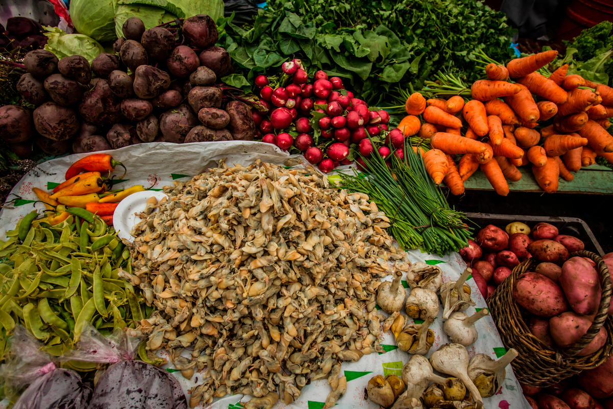 découvrez comment les cultures marines peuvent transformer notre avenir alimentaire en offrant des solutions durables et nutritives. explorez les bienfaits des algues et autres ressources maritimes pour nourrir une population croissante tout en préservant nos écosystèmes.