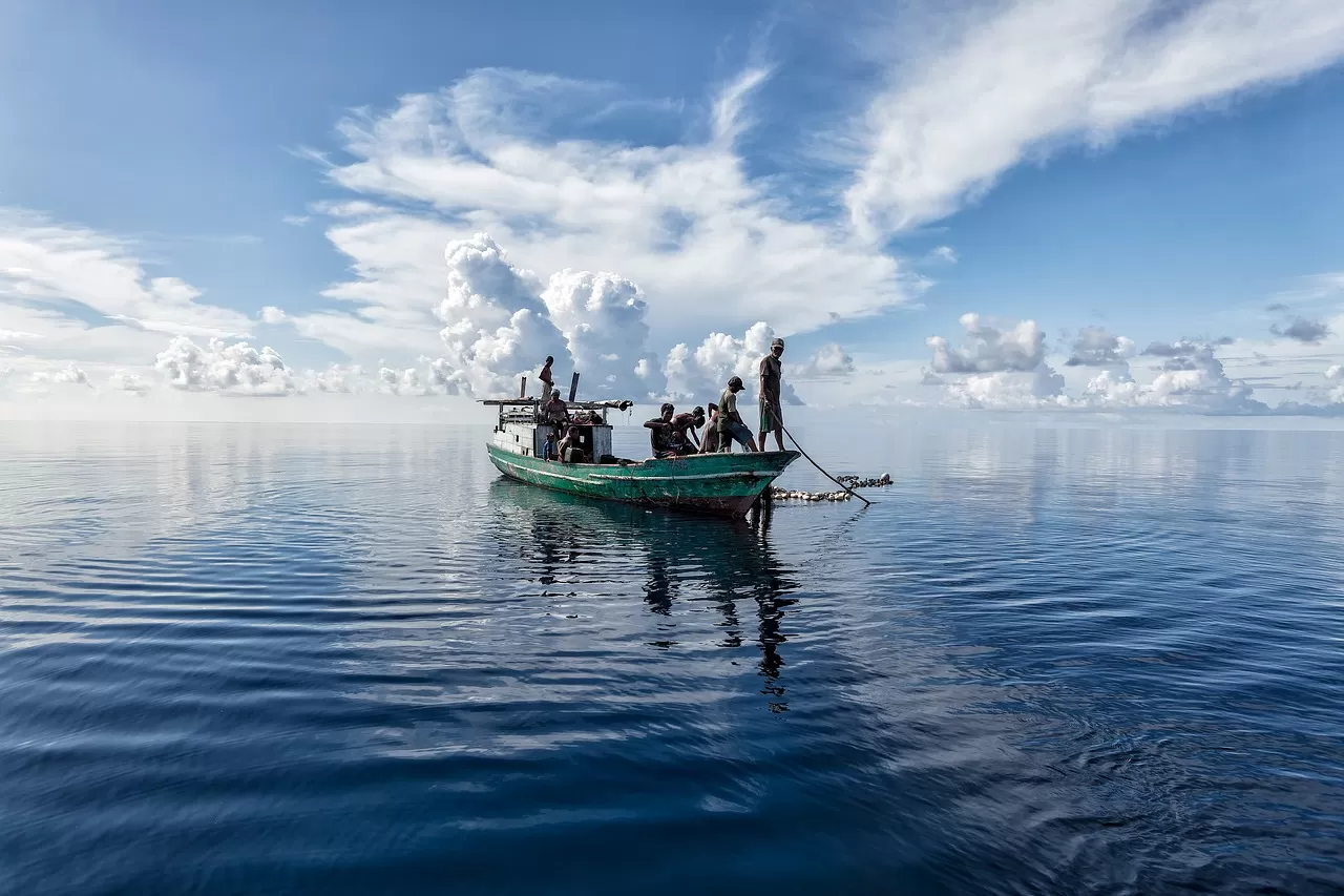 découvrez notre initiative de pêche durable, visant à promouvoir des pratiques écoresponsables pour préserver les ressources maritimes tout en soutenant les communautés de pêche. engagez-vous pour un avenir durable en respectant l'environnement et en garantissant des produits de la mer de qualité.