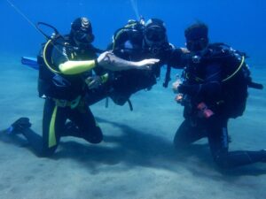 découvrez la richesse de la vie sous-marine à therma, où des écosystèmes fascinants vous attendent. plongez dans un monde aquatique coloré, peuplé de créatures marines uniques et explorez la beauté de la nature sous-marine. une aventure inoubliable à vivre pour les passionnés de la mer.