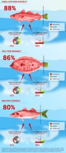 découvrez les poids de pêche durables, une solution écologique pour vos sessions de pêche. fabriqués à partir de matériaux respectueux de l'environnement, ces poids allient performance et durabilité, vous permettant de profiter de vos activités de pêche tout en préservant nos ressources marines.