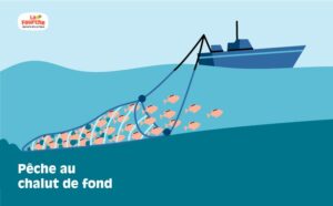 découvrez notre collection d'images illustrant la pêche durable, enrichie par des analyses de flux ai. explorez des pratiques respectueuses de l'environnement et engagez-vous pour un avenir maritimement responsable.