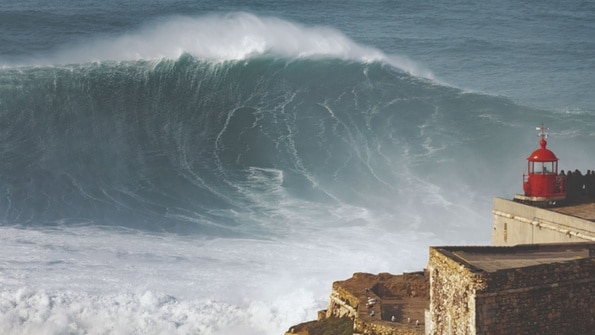 découvrez la récente décision du portugal concernant la protection de ses océans, une initiative majeure qui vise à préserver la biodiversité marine et à promouvoir la durabilité environnementale. informez-vous sur les enjeux et les impacts de cette politique sur l'écosystème et les communautés côtières.