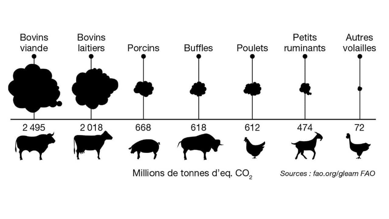 découvrez l'impact de l'alimentation aquatique sur notre écosystème. analyse des effets sur la biodiversité, la qualité de l'eau et les chaînes alimentaires, ainsi que des solutions durables pour préserver les ressources aquatiques.