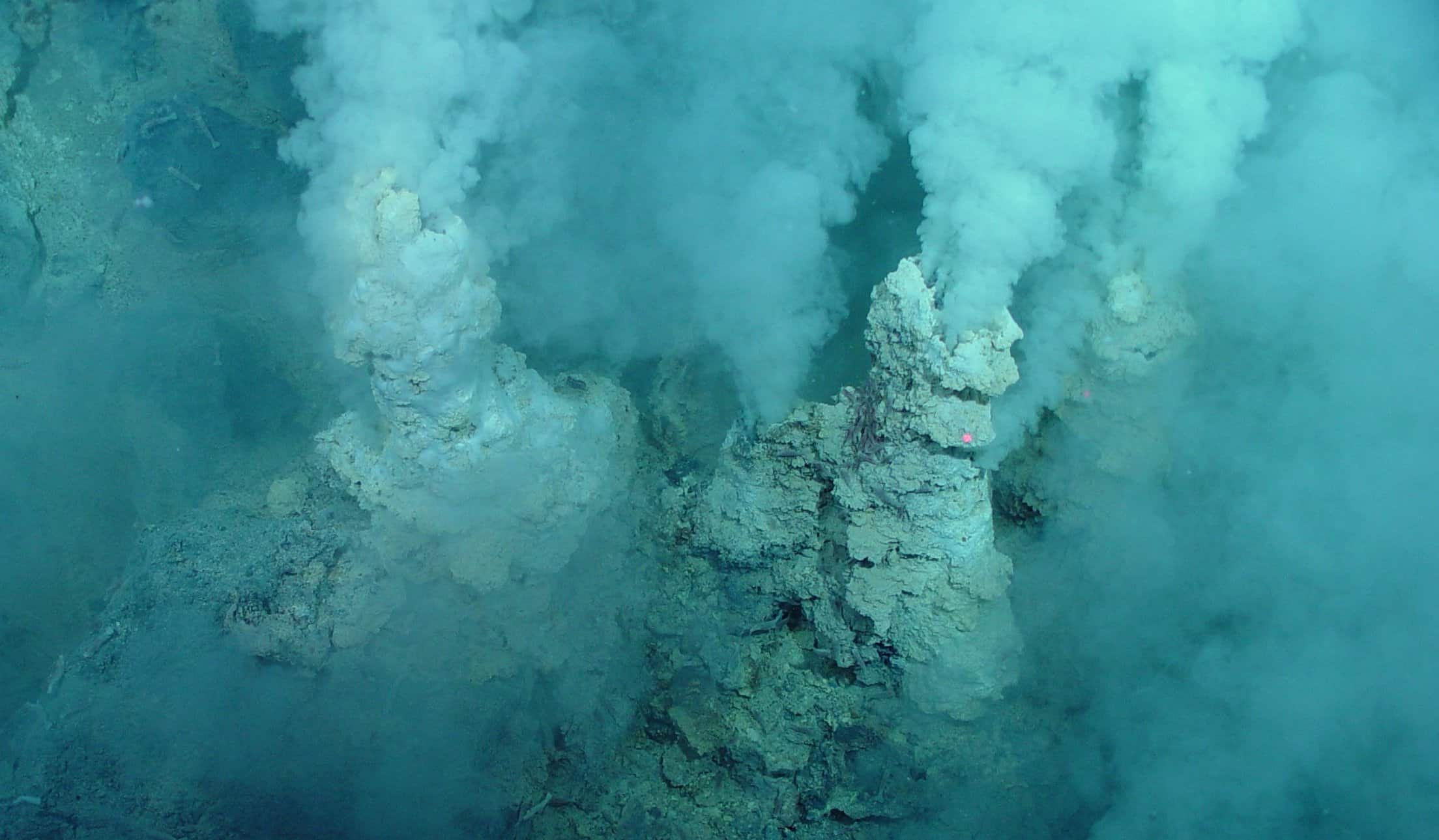 discover the exceptional underwater life of the thermal baths, where marine biodiversity reveals fascinating ecosystems and unique species. immerse yourself in a colorful and mysterious world, combining relaxation and aquatic exploration.