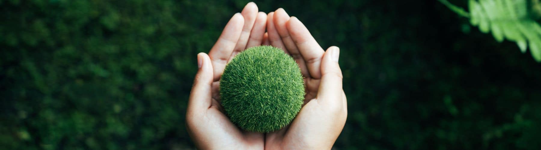 discover how the green economy shapes a sustainable future by combining innovation, ecology, and growth. explore the initiatives and solutions for a more environmentally friendly world.