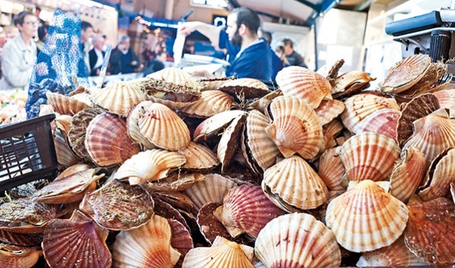 discover the trends and analyses of the dried scallops market for the decade 2021-2031. explore growth opportunities, industry challenges, and consumption forecasts, in order to optimize your supply and investment strategies in this evolving market.