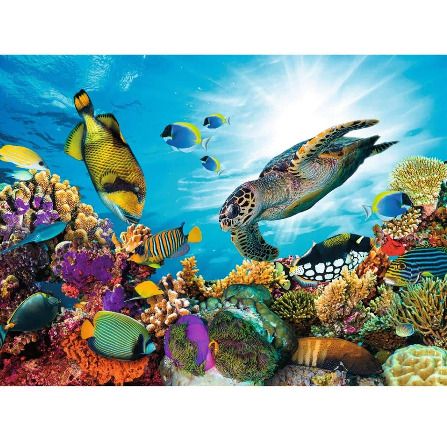 discover the fascinating secrets of coral reefs, these marine ecosystems rich in biodiversity. dive into the colorful world of corals and learn how to preserve these natural wonders that are essential to the health of the oceans.