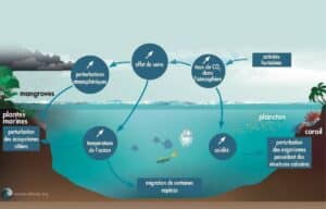 découvrez comment la filtration marine contribue à la préservation des écosystèmes durables. explorez les techniques innovantes et les solutions écologiques qui protègent nos mers tout en soutenant la biodiversité.