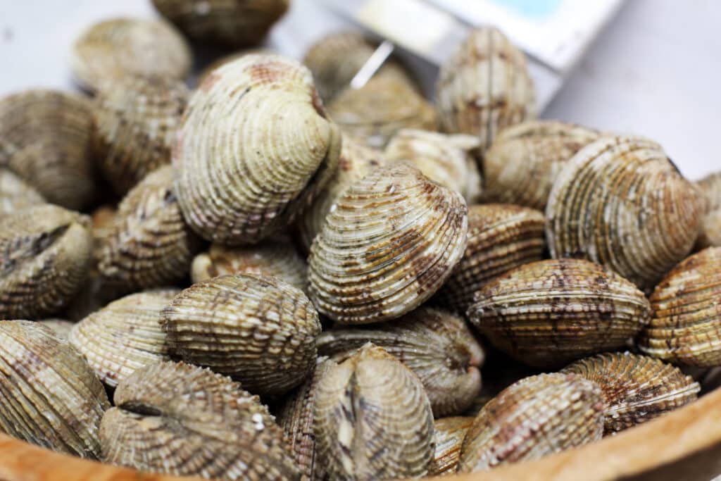 découvrez l'élevage de mollusques en mer, une activité durable et innovante qui allie passion pour la mer et respect de l'environnement. apprenez tout sur les techniques de culture, les types de mollusques élevés et l'impact positif sur les écosystèmes marins.