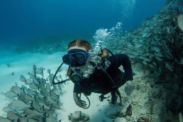 découvrez le parcours inspirant d'un pionnier de la biologie marine, dont les recherches innovantes ont révolutionné notre compréhension des écosystèmes marins et contribué à la préservation de la biodiversité océane.