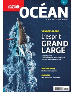 discover the crucial issues of ocean overexploitation and its impact on our future. analysis of consequences on marine biodiversity and solutions to preserve our maritime resources.