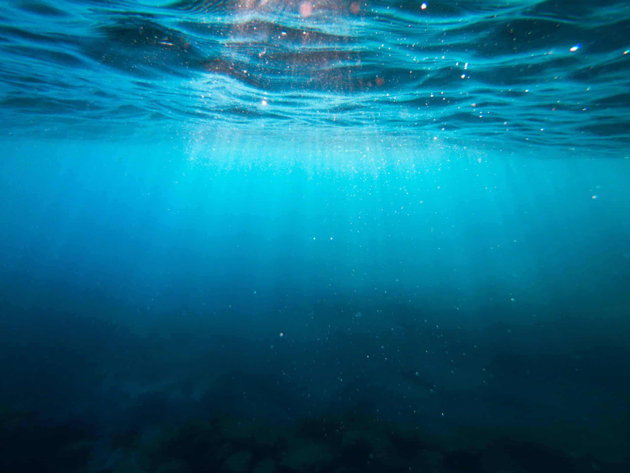 découvrez l'impact des activités humaines sur les écosystèmes aquatiques et apprenez comment préserver la biodiversité des eaux douces et des océans. explorez les enjeux environnementaux, les menaces pesant sur les espèces aquatiques et les solutions durables pour protéger notre patrimoine naturel.