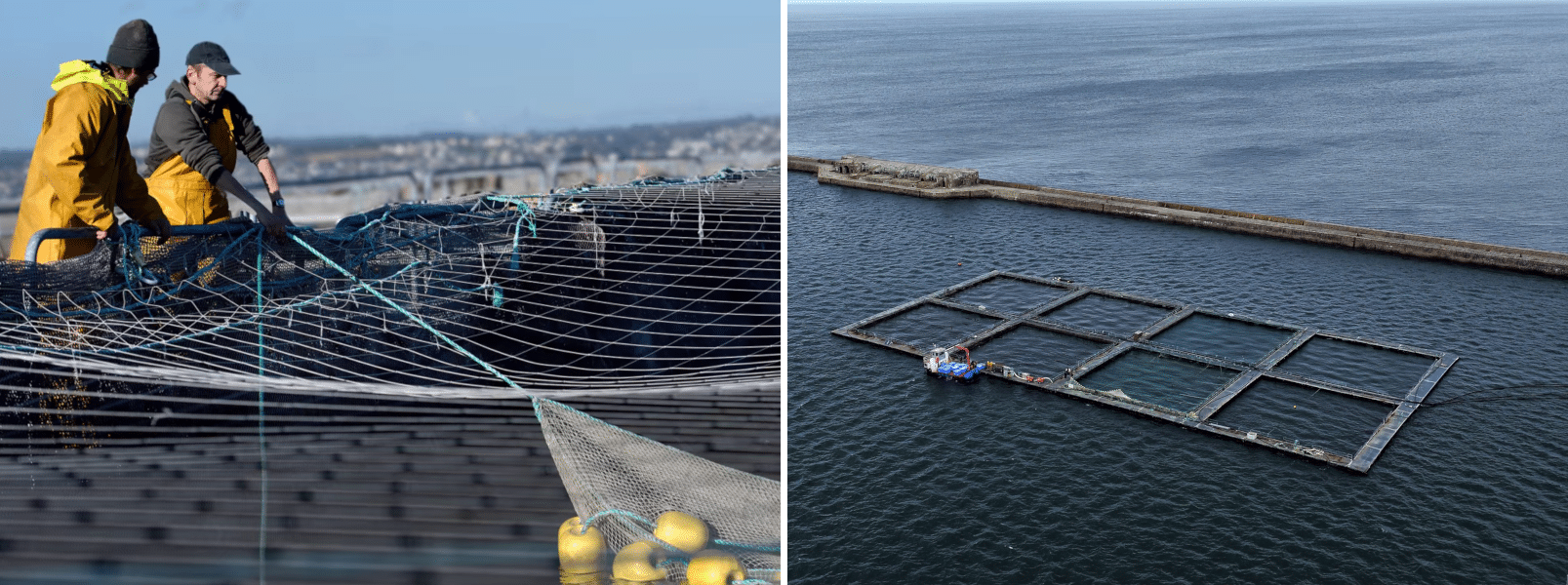 discover sustainable urban aquaculture, an innovative approach that combines food production with environmental respect. learn how this method helps to reduce carbon footprint, promotes biodiversity in urban areas, and strengthens food security while offering practical solutions for city dwellers.