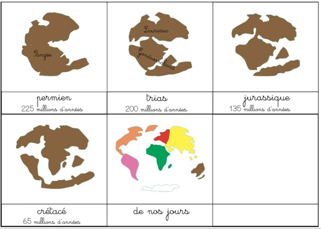 découvrez la dérive des continents, une théorie fascinante qui explique le mouvement des plaques tectoniques et la formation des paysages terrestres. explorez l'histoire géologique de notre planète et son impact sur la biodiversité.