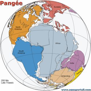 découvrez la théorie fascinante de la dérive des continents, explorant comment les plaques tectoniques ont façonné notre planète au fil des millions d'années. apprenez les preuves scientifiques et les implications sur la géologie moderne.