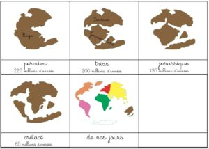 découvrez la dérive des continents, une théorie fascinante qui explique le mouvement des plaques tectoniques et la formation des paysages terrestres. explorez l'histoire géologique de notre planète et son impact sur la biodiversité.