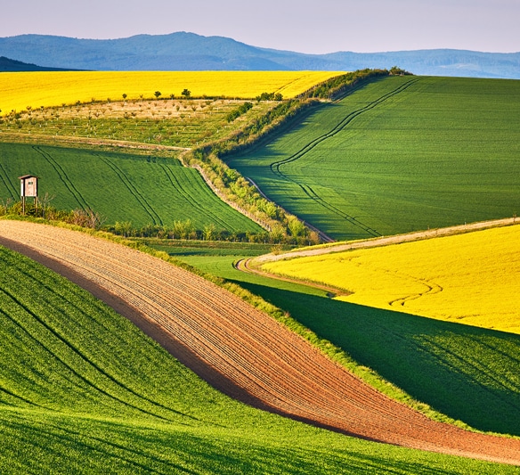découvrez les différents systèmes de culture et leurs impacts sur l'agriculture moderne. explorez les méthodes innovantes et durables qui transforment les pratiques agricoles, tout en préservant l'environnement et en optimisant la production alimentaire.