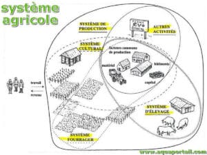 découvrez les différents systèmes de culture et leurs pratiques en agriculture, optimisant la production tout en respectant l'environnement. explorez les innovations et techniques durables qui façonnent l'avenir de l'agriculture.